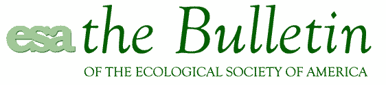 Bulletin top banner
