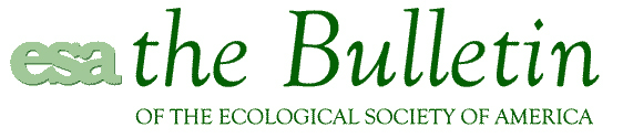 Bulletin top banner
